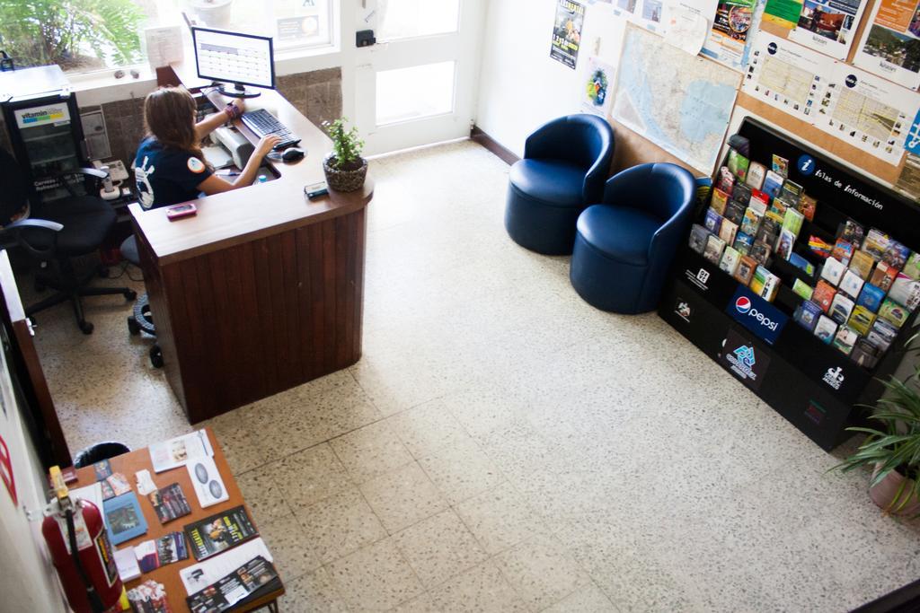 Hostel Hospedarte Chapultepec Guadalajara Zewnętrze zdjęcie